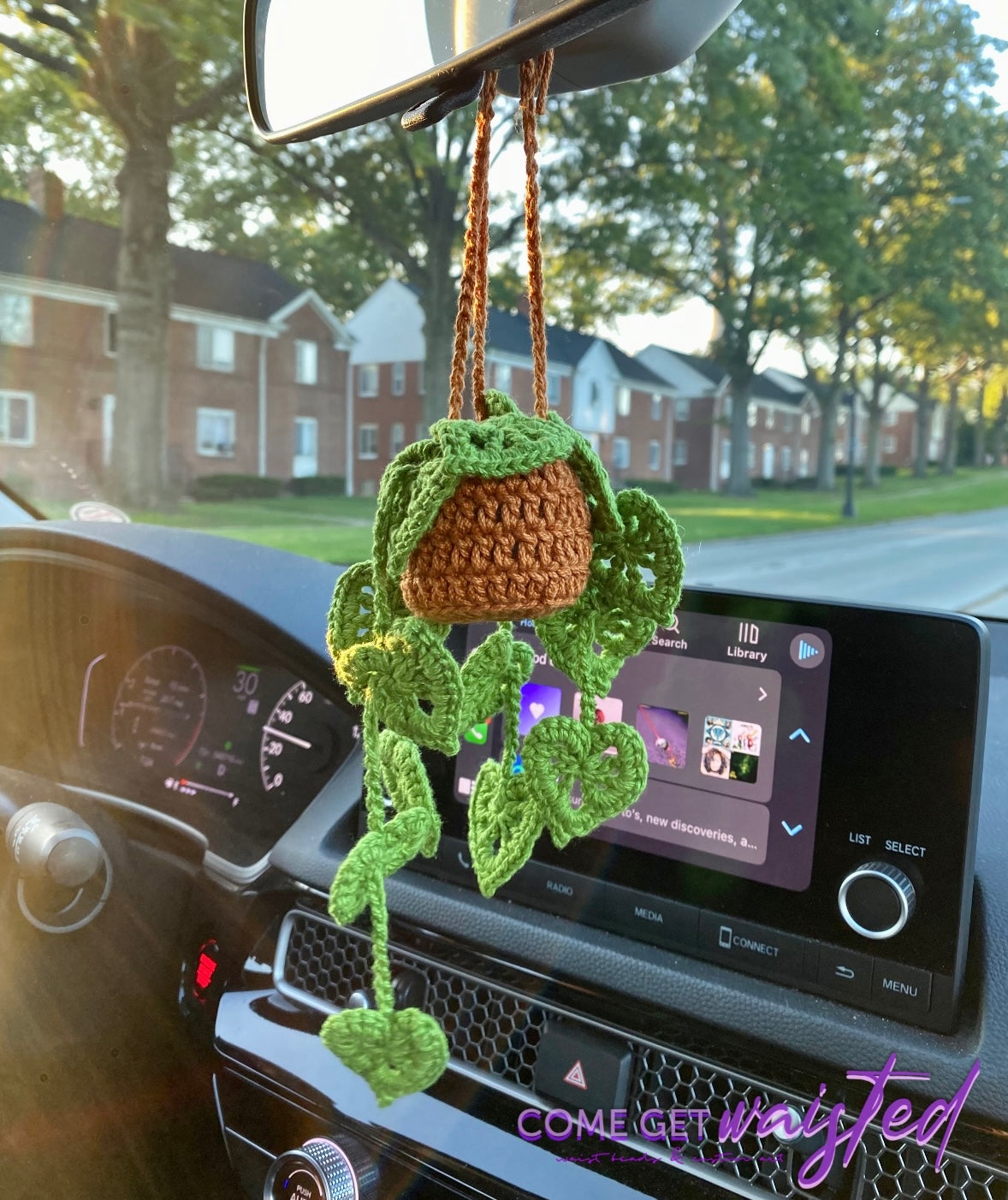 car hanging plant Car Hanging Plant