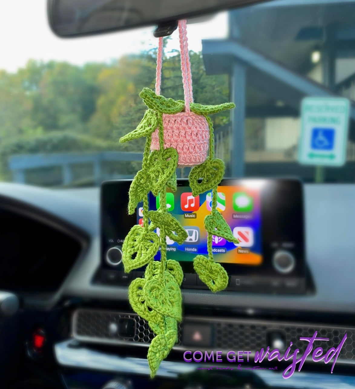 Car Hanging Plant