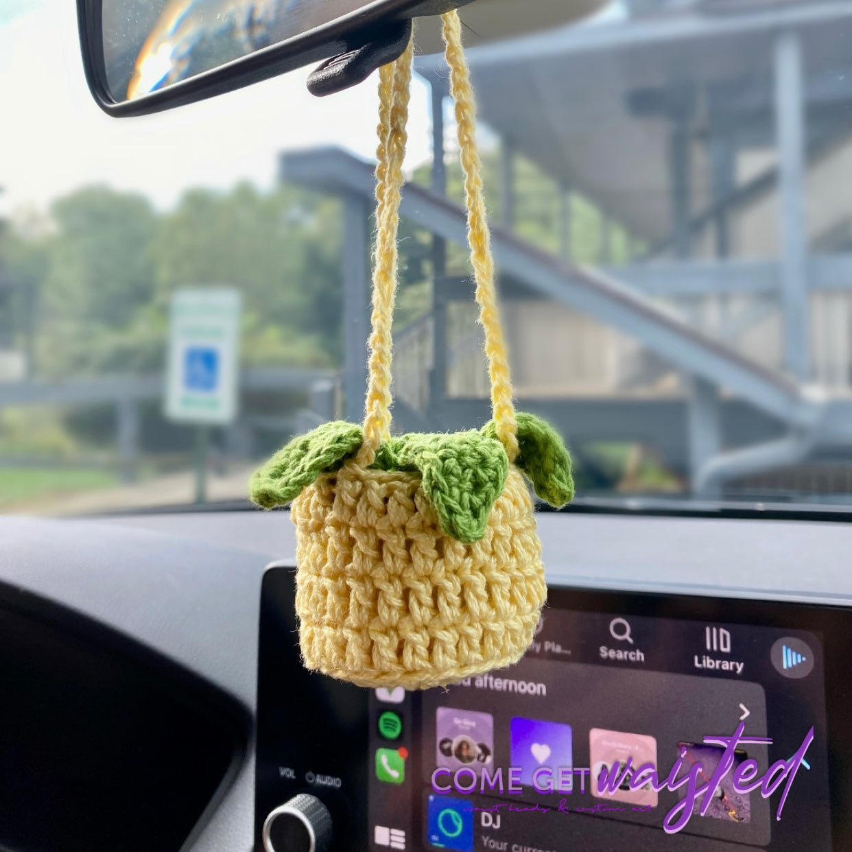 Car Hanging Plant