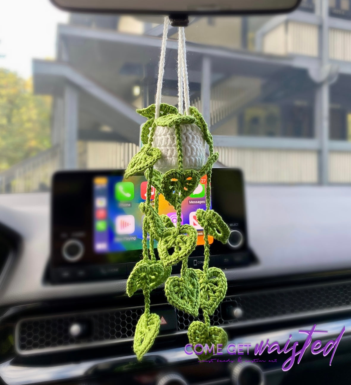 Car Hanging Plant