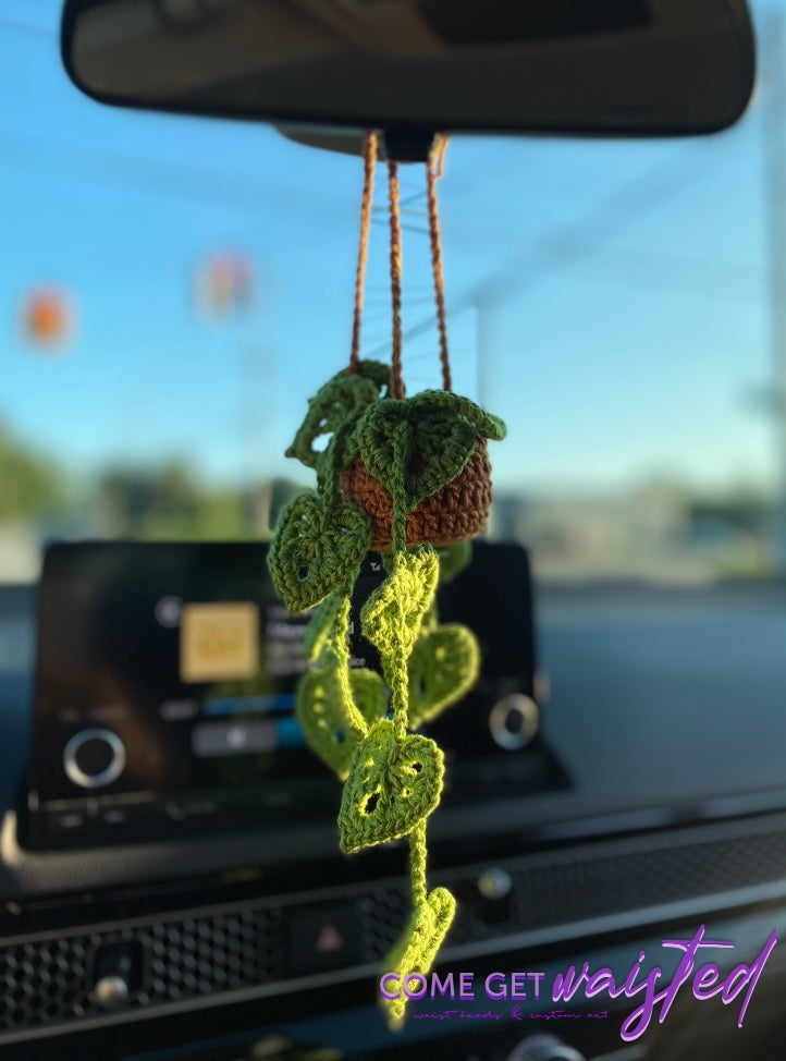 Car Hanging Plant