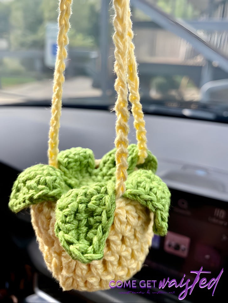 Car Hanging Plant